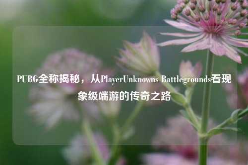 PUBG全称揭秘，从PlayerUnknowns Battlegrounds看现象级端游的传奇之路
