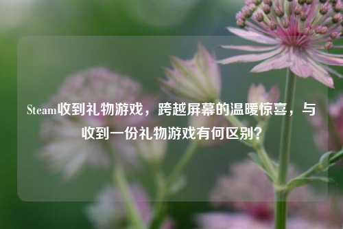 Steam收到礼物游戏,跨越屏幕的温暖惊喜,与收到一份礼物游戏有何区别?