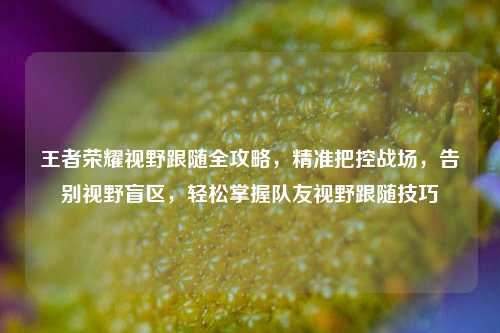 王者荣耀视野跟随全攻略，精准把控战场，告别视野盲区，轻松掌握队友视野跟随技巧