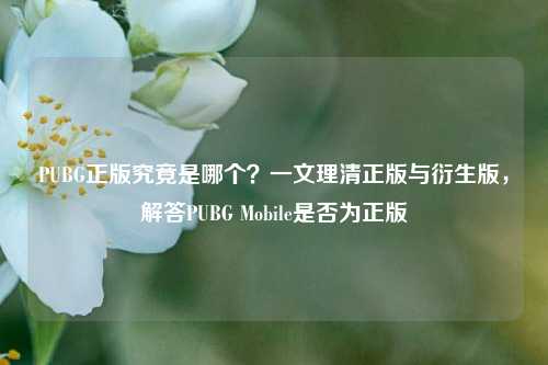 PUBG正版究竟是哪个?一文理清正版与衍生版,解答PUBG Mobile是否为正版