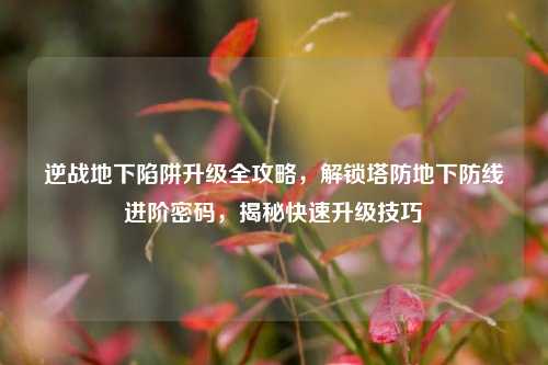 逆战地下陷阱升级全攻略,解锁塔防地下防线进阶密码,揭秘快速升级技巧