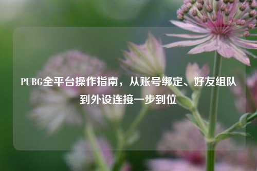 PUBG全平台操作指南,从账号绑定、好友组队到外设连接一步到位