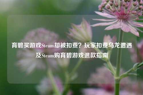 育碧买游戏Steam却被扣费?玩家扣费乌龙遭遇及Steam购育碧游戏退款指南