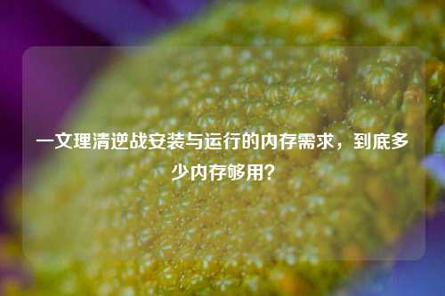 一文理清逆战安装与运行的内存需求,到底多少内存够用?
