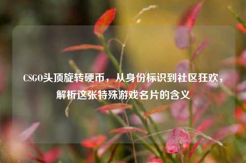 CSGO头顶旋转硬币,从身份标识到社区狂欢,解析这张特殊游戏名片的含义