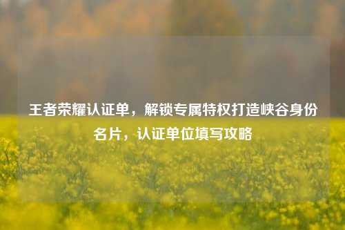 王者荣耀认证单,解锁专属特权打造峡谷身份名片,认证单位填写攻略