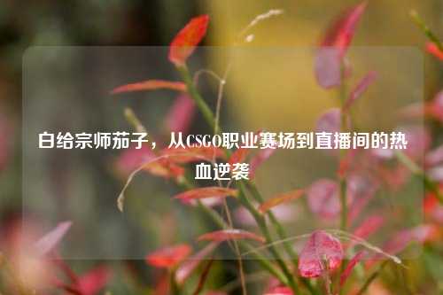 白给宗师茄子,从CSGO职业赛场到直播间的热血逆袭