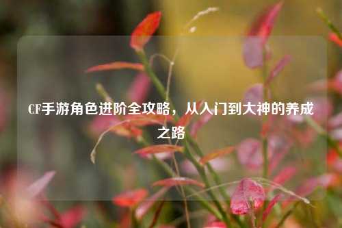 CF手游角色进阶全攻略,从入门到大神的养成之路