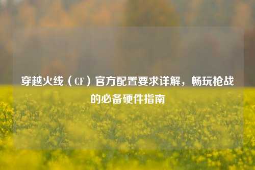 穿越火线(CF)官方配置要求详解,畅玩枪战的必备硬件指南