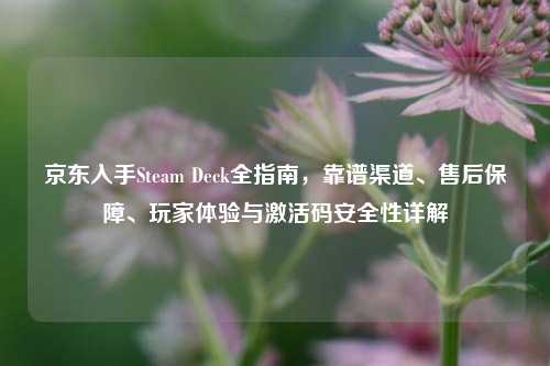 京东入手Steam Deck全指南，靠谱渠道、售后保障、玩家体验与激活码安全性详解