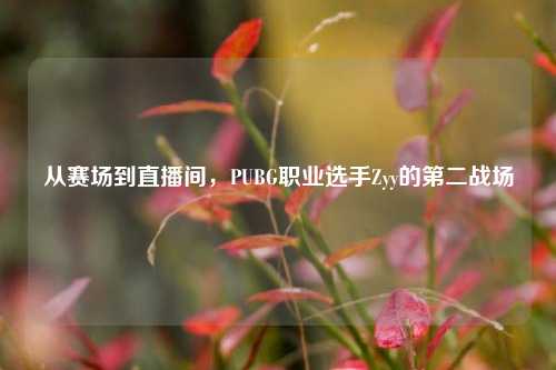 从赛场到直播间,PUBG职业选手Zyy的第二战场