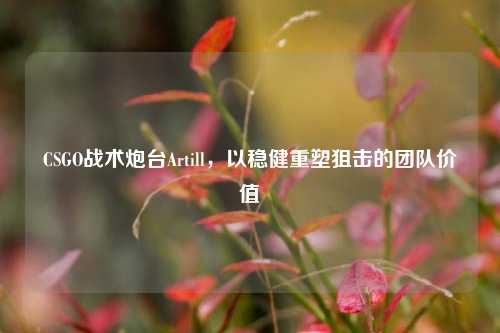 CSGO战术炮台Artill,以稳健重塑狙击的团队价值
