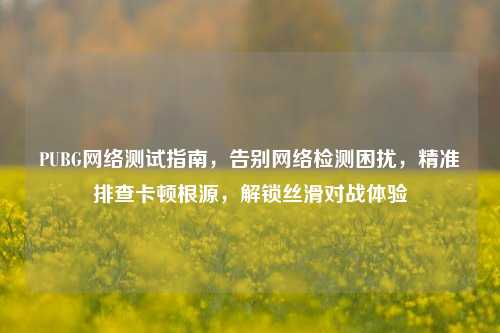 PUBG网络测试指南,告别网络检测困扰,精准排查卡顿根源,解锁丝滑对战体验