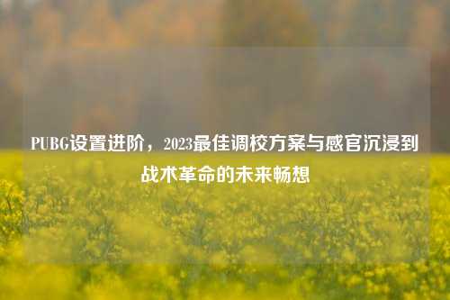 PUBG设置进阶，2023最佳调校方案与感官沉浸到战术革命的未来畅想