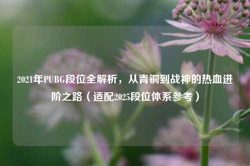 2021年PUBG段位全解析,从青铜到战神的热血进阶之路(适配2025段位体系参考)