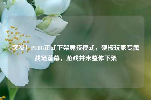 突发!PUBG正式下架竞技模式,硬核玩家专属战场落幕,游戏并未整体下架