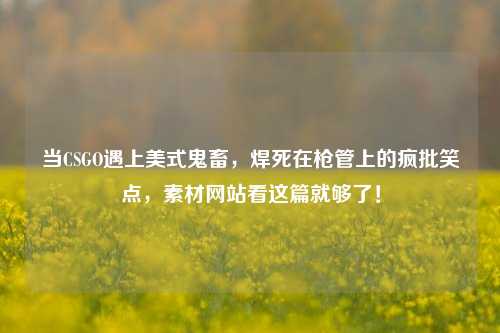 当CSGO遇上美式鬼畜,焊死在枪管上的疯批笑点,素材网站看这篇就够了!