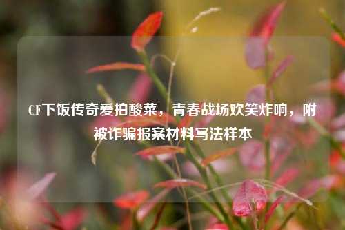 CF下饭传奇爱拍酸菜,青春战场欢笑炸响,附被诈骗报案材料写法样本