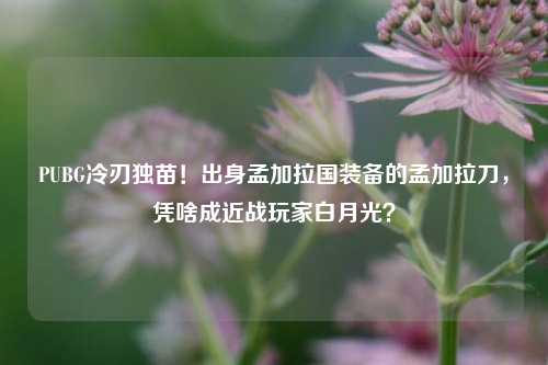 PUBG冷刃独苗!出身孟加拉国装备的孟加拉刀,凭啥成近战玩家白月光?