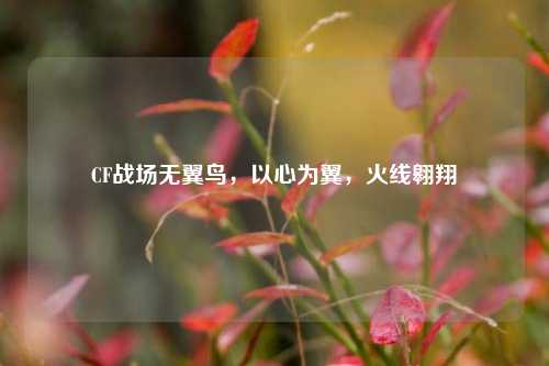 CF战场无翼鸟，以心为翼，火线翱翔