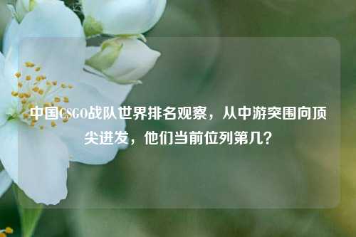 中国CSGO战队世界排名观察,从中游突围向顶尖进发,他们当前位列第几?