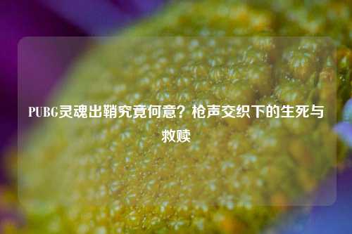 PUBG灵魂出鞘究竟何意?枪声交织下的生死与救赎