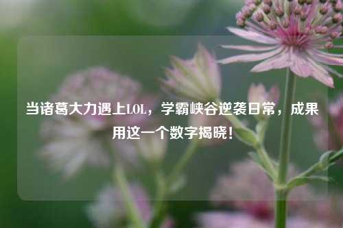 当诸葛大力遇上LOL，学霸峡谷逆袭日常，成果用这一个数字揭晓！