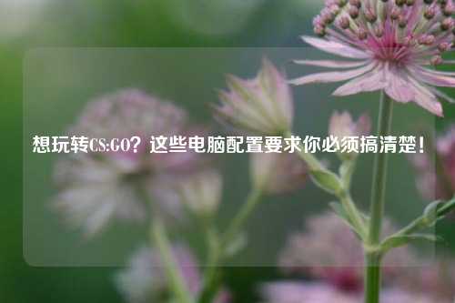 想玩转CS:GO?这些电脑配置要求你必须搞清楚!