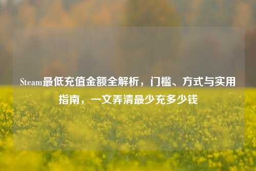 Steam最低充值金额全解析,门槛、方式与实用指南,一文弄清最少充多少钱