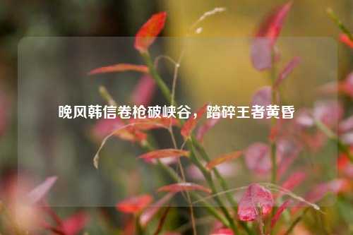 晚风韩信卷枪破峡谷,踏碎王者黄昏