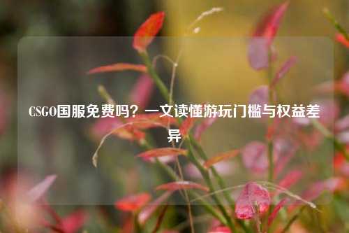 CSGO国服免费吗?一文读懂游玩门槛与权益差异
