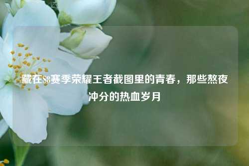 藏在S8赛季荣耀王者截图里的青春,那些熬夜冲分的热血岁月