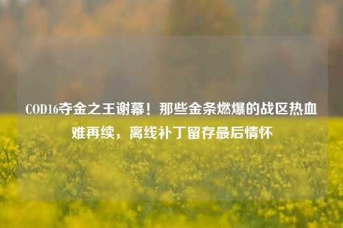 COD16夺金之王谢幕!那些金条燃爆的战区热血难再续,离线补丁留存最后情怀