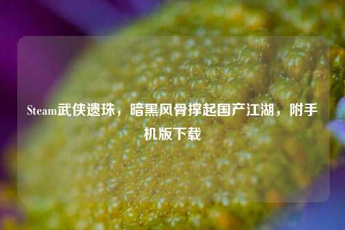 Steam武侠遗珠,暗黑风骨撑起国产江湖,附手机版下载