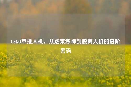 CSGO单挑人机，从虐菜练神到脱离人机的进阶密码