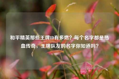 和平精英那些王牌ID有多燃?每个名字都是热血传奇,王牌队友的名字你知道吗?