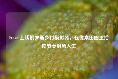Steam上线俄罗斯乡村模拟器,在像素田园重拾慢节奏治愈人生