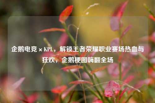 企鹅电竞×KPL,解锁王者荣耀职业赛场热血与狂欢,企鹅梗图嗨翻全场