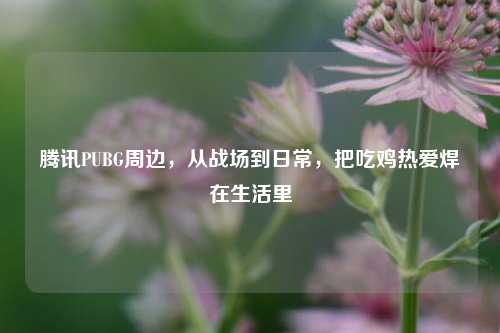 腾讯PUBG周边,从战场到日常,把吃鸡热爱焊在生活里