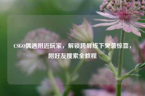 CSGO偶遇附近玩家，解锁跨屏线下突袭惊喜，附好友搜索全教程