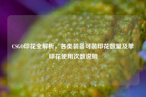 CSGO印花全解析,各类装备可装印花数量及单印花使用次数说明