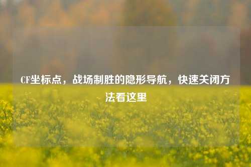 CF坐标点,战场制胜的隐形导航,快速关闭方法看这里
