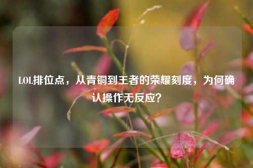 LOL排位点,从青铜到王者的荣耀刻度,为何确认操作无反应?