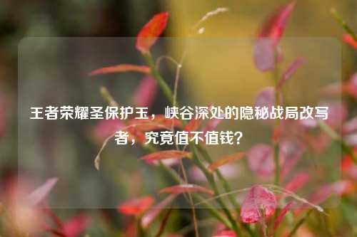 王者荣耀圣保护玉,峡谷深处的隐秘战局改写者,究竟值不值钱?