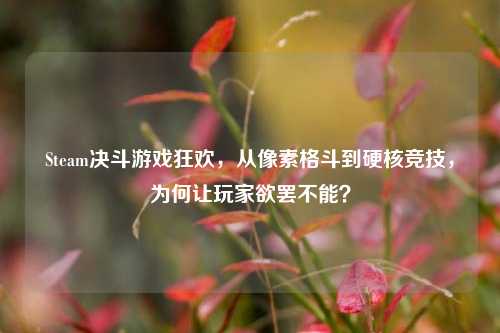 Steam决斗游戏狂欢,从像素格斗到硬核竞技,为何让玩家欲罢不能?