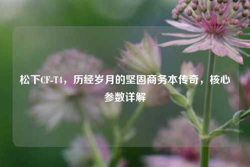 松下CF-T4，历经岁月的坚固商务本传奇，核心参数详解