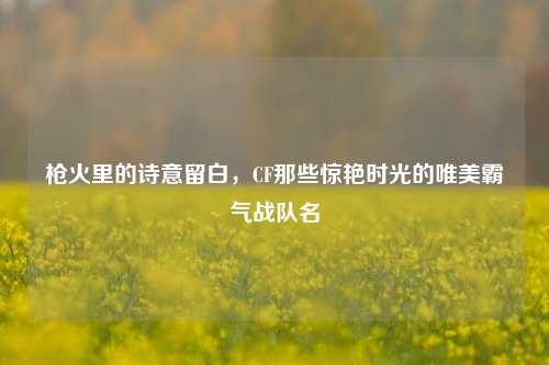 枪火里的诗意留白,CF那些惊艳时光的唯美霸气战队名