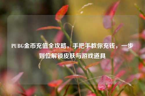 PUBG金币充值全攻略，手把手教你充钱，一步到位解锁皮肤与游戏道具