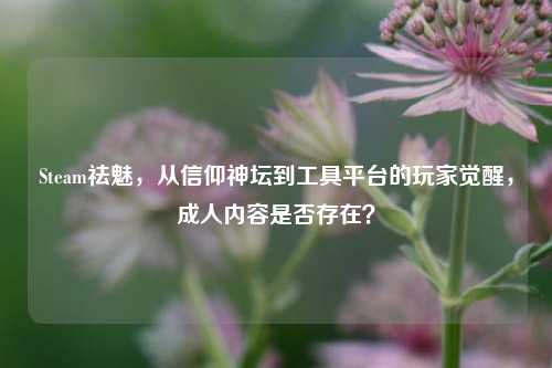 Steam祛魅,从信仰神坛到工具平台的玩家觉醒,成人内容是否存在?