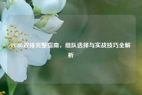 PUBG双排完整指南,组队选择与实战技巧全解析